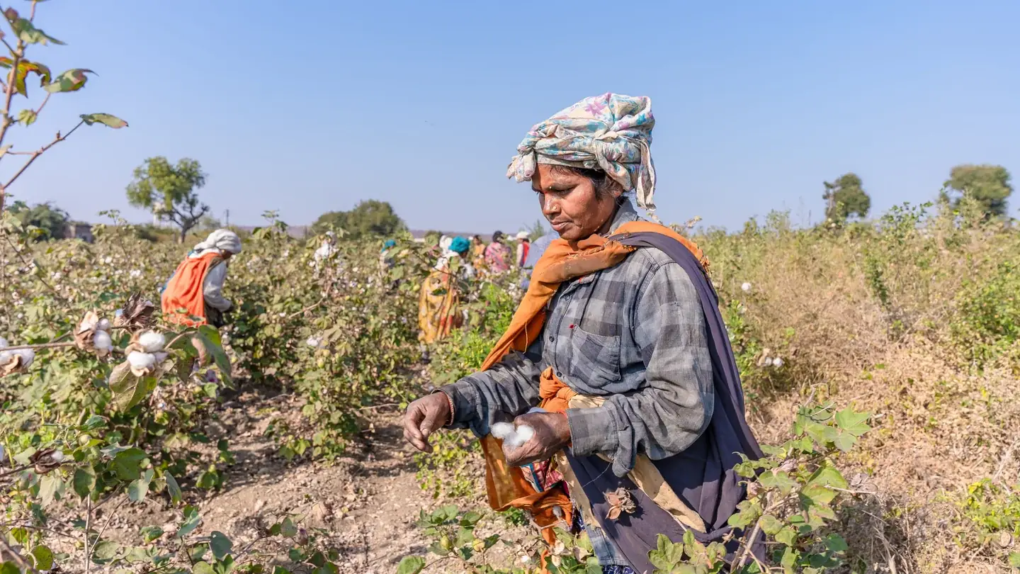 Why 100% Natural Cotton Matters: Skin Health, Biodegradability & Environmental Impact